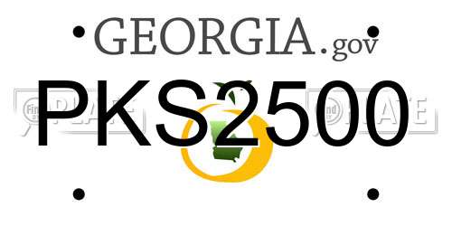 PKS2500 Georgia License Plate