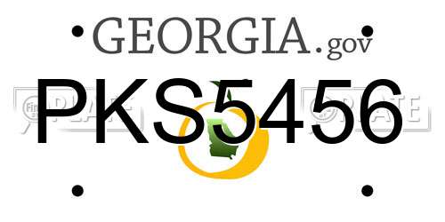 PKS5456 Georgia License Plate