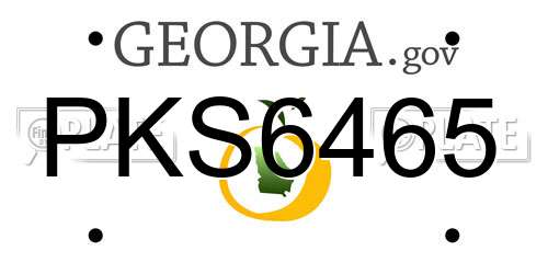 PKS6465 Georgia License Plate