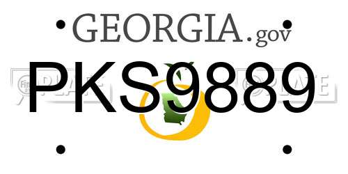 PKS9889 Georgia License Plate