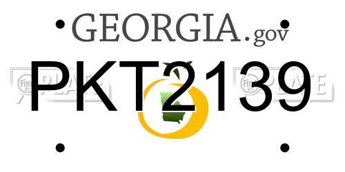PKT2139 Georgia License Plate