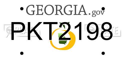PKT2198 Georgia License Plate