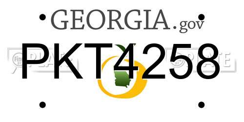 PKT4258 Georgia License Plate