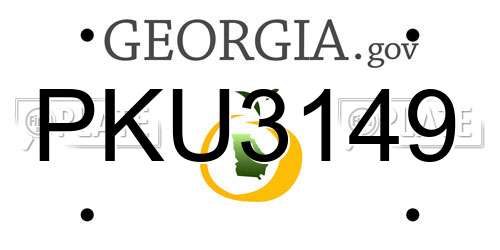 PKU3149 Georgia License Plate