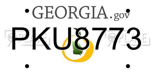 PKU8773 Georgia License Plate