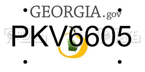 PKV6605 Georgia License Plate