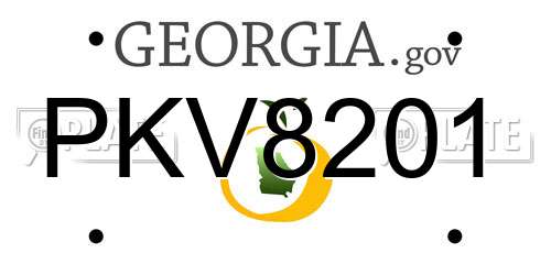 PKV8201 Georgia License Plate