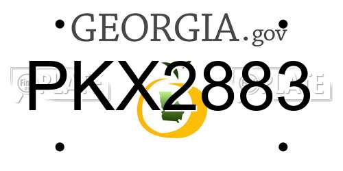 PKX2883 Georgia License Plate