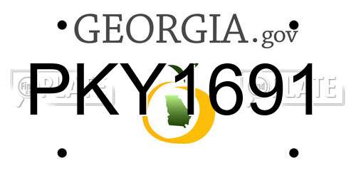 PKY1691 Georgia License Plate