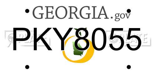 PKY8055 Georgia License Plate