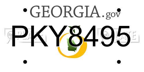 PKY8495 Georgia License Plate