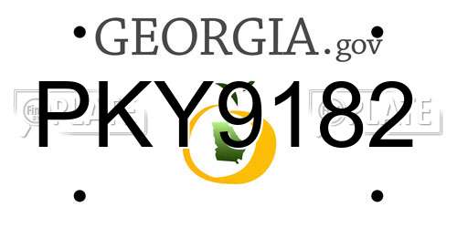 PKY9182 Georgia License Plate