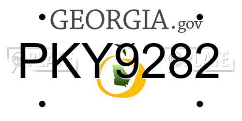 PKY9282 Georgia License Plate