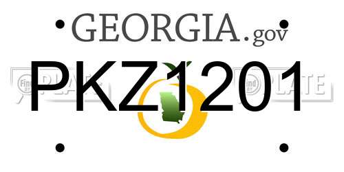 PKZ1201 Georgia License Plate