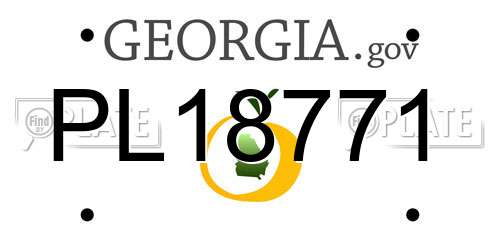 PL18771 Georgia License Plate