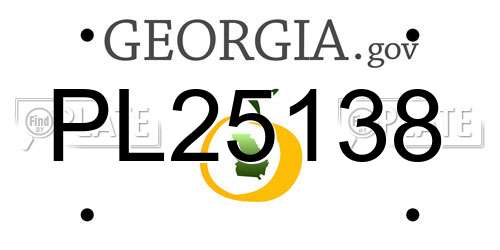PL25138 Georgia License Plate