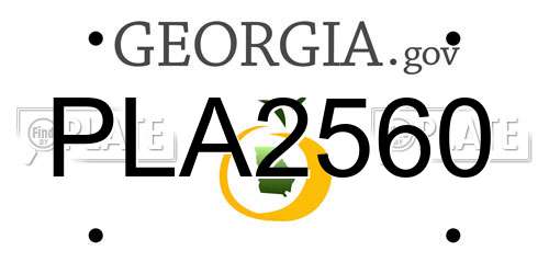 PLA2560 Georgia License Plate