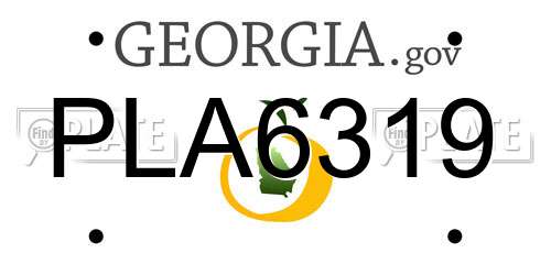 PLA6319 Georgia License Plate