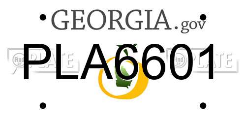 PLA6601 Georgia License Plate