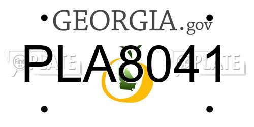 PLA8041 Georgia License Plate