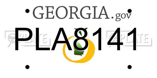 PLA8141 Georgia License Plate