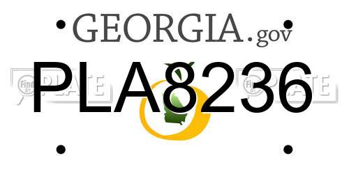 PLA8236 Georgia License Plate