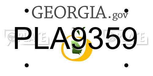 PLA9359 Georgia License Plate
