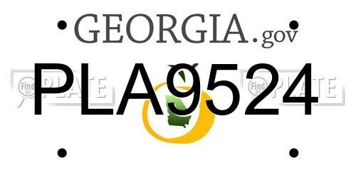 PLA9524 Georgia License Plate