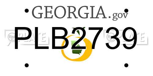 PLB2739 Georgia License Plate