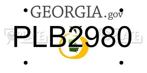 PLB2980 Georgia License Plate