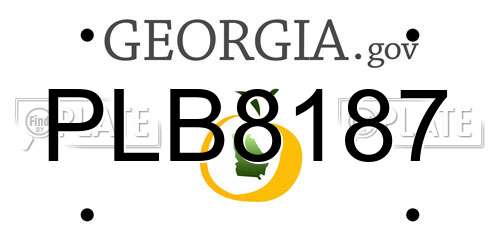 PLB8187 Georgia License Plate