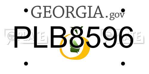 PLB8596 Georgia License Plate