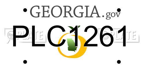 PLC1261 Georgia License Plate