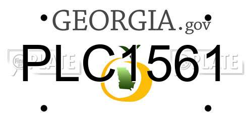 PLC1561 Georgia License Plate