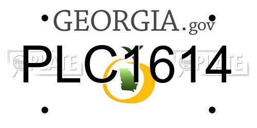 PLC1614 Georgia License Plate
