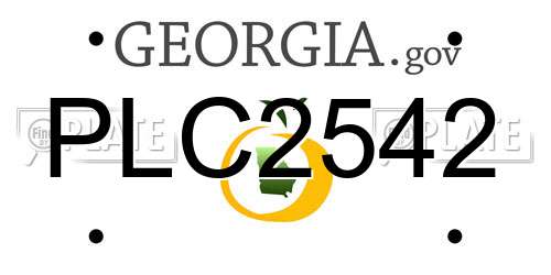PLC2542 Georgia License Plate