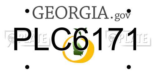 PLC6171 Georgia License Plate