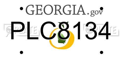 PLC8134 Georgia License Plate