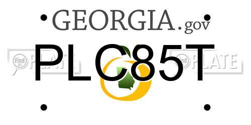 PLC85T Georgia License Plate