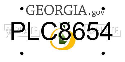 PLC8654 Georgia License Plate