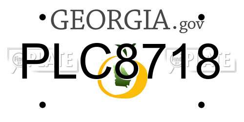 PLC8718 Georgia License Plate
