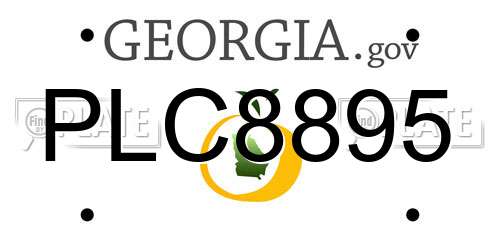 PLC8895 Georgia License Plate