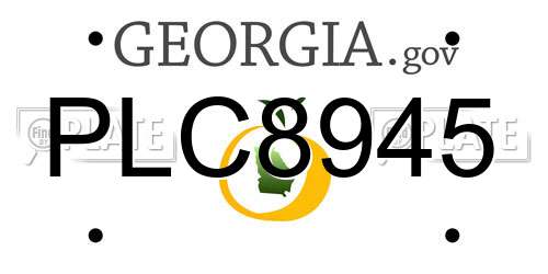 PLC8945 Georgia License Plate
