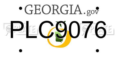 PLC9076 Georgia License Plate