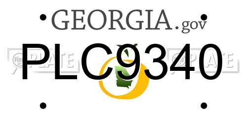 PLC9340 Georgia License Plate