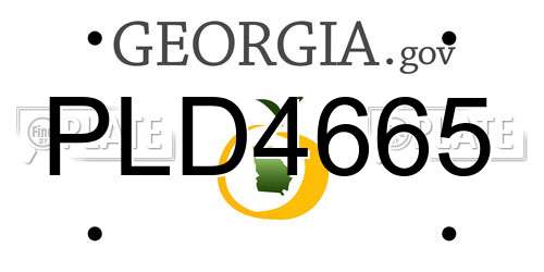 PLD4665 Georgia License Plate