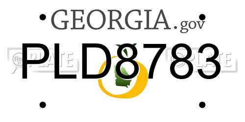 PLD8783 Georgia License Plate