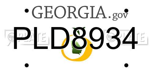 PLD8934 Georgia License Plate