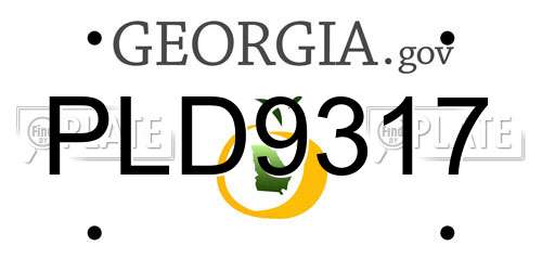 PLD9317 Georgia License Plate
