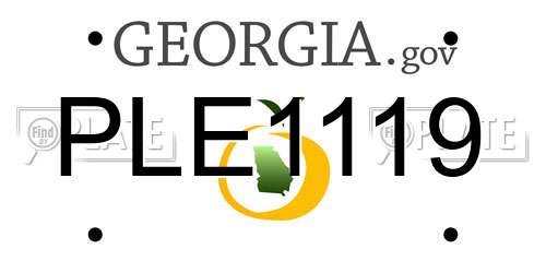 PLE1119 Georgia License Plate
